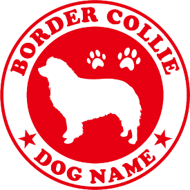 楽天市場 ボーダーコリー カードの通販
