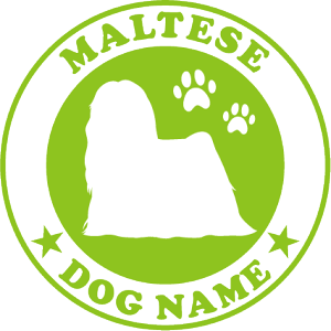 チーズ プレゼント その他犬用ペットグッズの人気商品 通販 価格比較 価格 Com チーズ プレゼント その他犬用ペットグッズの人気商品 通販 価格比較 価格 Com