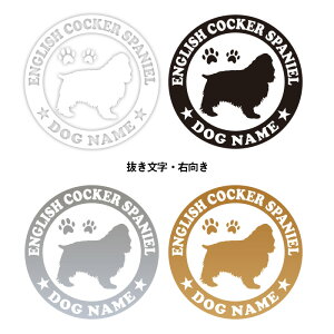 CObVRbJ[XpjGyی^zybg XebJ[ DOGXebJ[ hbOVGbg ؂蔲V[ @XebJ[ XebJ[   XebJ[ ] XebJ[  CO