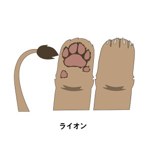 ɂ񂱃XebJ[i܂ƓہjyϐXebJ[zOŔŎgfނōXebJ[y31Zbgz