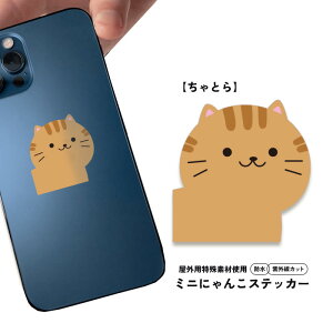yƂz~jɂ񂱃XebJ[ijy4cm×4cmzOJbg h V[ 킢 L ܔL Ƃ˂ XebJ[ X}z iPhone X[cP[X Xm[{[h oCN wbg 