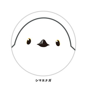 XebJ[V[ V[YyV}GiKzی^ 12cm`15cm K\    XebJ[ h   V}GiK ܂Ȃ  킢 Aj} V}GiK V[ 