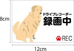ドライブレコーダーステッカー【20cm×5cm】NOEONRECORDING20cm車載型画像記録装置録画中イベントデータレコーダーeventdatarecorderedrトラブル防止煽り防止後方ドライブレコーダーシール後ろ煽り運転対策カメラ録画中ドライブレコーダー搭載車