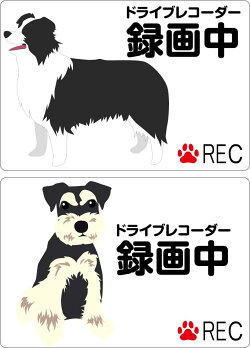 ドライブレコーダーステッカー【20cm×5cm】NOEONRECORDING20cm車載型画像記録装置録画中イベントデータレコーダーeventdatarecorderedrトラブル防止煽り防止後方ドライブレコーダーシール後ろ煽り運転対策カメラ録画中ドライブレコーダー搭載車