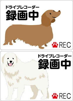 ドライブレコーダーステッカー【20cm×5cm】NOEONRECORDING20cm車載型画像記録装置録画中イベントデータレコーダーeventdatarecorderedrトラブル防止煽り防止後方ドライブレコーダーシール後ろ煽り運転対策カメラ録画中ドライブレコーダー搭載車