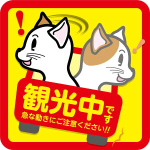 ό@XebJ[y15cm×15cmzlRorlԂ guh~ h~  V[  ^]΍ ɂǂ ǂzĂ J ^撆 hCuR[_[ 