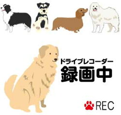 ドライブレコーダーステッカー【20cm×5cm】NOEONRECORDING20cm車載型画像記録装置録画中イベントデータレコーダーeventdatarecorderedrトラブル防止煽り防止後方ドライブレコーダーシール後ろ煽り運転対策カメラ録画中ドライブレコーダー搭載車