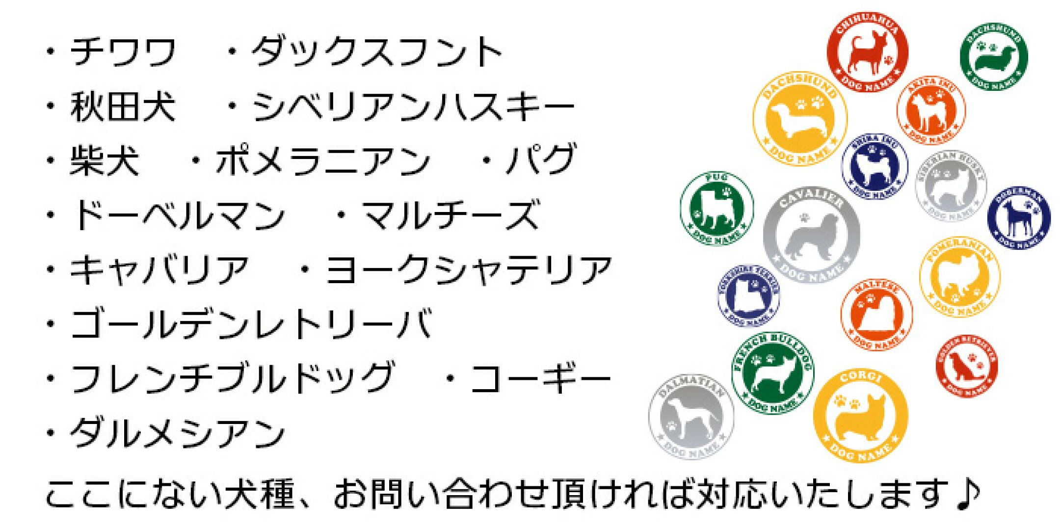 チワワ、ダックスフント、秋田犬、シベリアンハスキー、柴犬、ポメラニアン、パグ、ドーベルマン、マルチーズ、キャバリア、ヨークシャテリア、ゴールデンレトリーバ、フレンチブルドッグ、コーギー、ダルメシアン