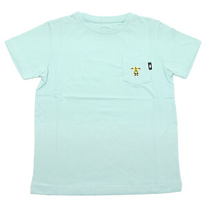UEm[XEtFCX THE NORTH FACE V[gX[u|PbgeB[ S/S Pocket Tee TVc NTJ32049 LbY Ki