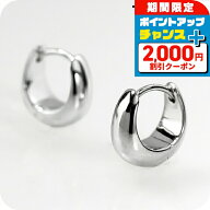 ＼9/7は2000円OFF+ポイントUP／ トムウッド ピアス メンズ レディース TOMWOOD アイス ハギー Ice Huggie…