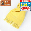 ＼2000円OFFクーポン+全品5倍★11/15限定／ ヴィヴィアンウエストウッド VIVIENNE WESTWOOD マフラー ストール オーブロゴ 刺繍 無地 メンズ レディース E401-YELLOW イエロー