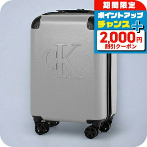 �_2000�~OFF+�����9�{��23��20���`�^ �J���o���N���C�� �X�[�c�P�[�X �����Y ���f�B�[�X �u�����h Calvin Klein LH118LN3 HGR S �O���[