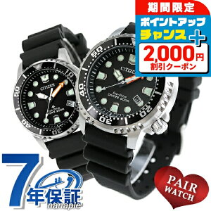 _2000~OFFN[|+9{^ yAEHb` V`Y v}X^[ _Co[YEHb` \[[ GREhCu vw Jbv LO Y fB[X rv CITIZEN PROMASTER BN0156-05E E