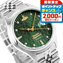 ヴィヴィアン ウエストウッド キャンバーウェル クォーツ 電池式 腕時計 ブランド メンズ Vivienne Westwood VV261GRSL アナログ グリーン おしゃれ 防水 プレゼント 男性 実用的