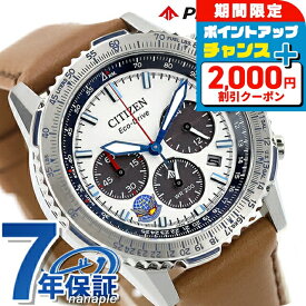 シチズン プロマスター SKYシリーズ ブルーインパルス エコドライブ 腕時計 ブランド メンズ 数量限定 クロノグラフ ソーラー CITIZEN PROMASTER CA4661-09A アナログ シルバー ブラウン おしゃれ 防水 文字盤 大きい プレゼント 男性 実用的