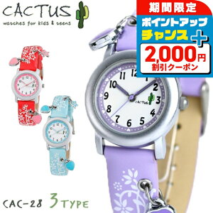 _2000~OFFN[|+9{^ rv LbY JN^X qp n[g`[ PU׃g u[ sN p[v CACTUS CAC-28 v v[g Mtg