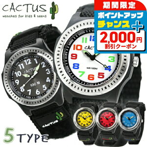 _2000~OFF+9{^ rv LbY EHb` JN^X qp j̎q ̎q h CACTUS CAC-45 }WbNe[v iCxg v v[g Mtg