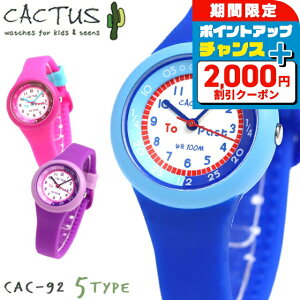 _2000~OFF+9{^ rv LbY JN^X qp CACTUS ^CeB[`[ CAC-92 Iׂ郂f v v[g Mtg