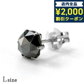 ＼スーパーSALE限定★さらに2000円OFFクーポン／ ライオンハート ピアス メンズ レディース ブランド LION HEART プラチナ900 スタッド ブラックダイヤモンド 片耳用 04E12PS/L ブラック シルバー アクセサリー 父の日 プレゼント 実用的