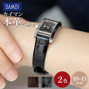 v xg 10mm 11mm 12mm 13mm 14mm 15mm jv JC}VCjO p ւxg rvp Iׂxg BWA880 v[g Mtg