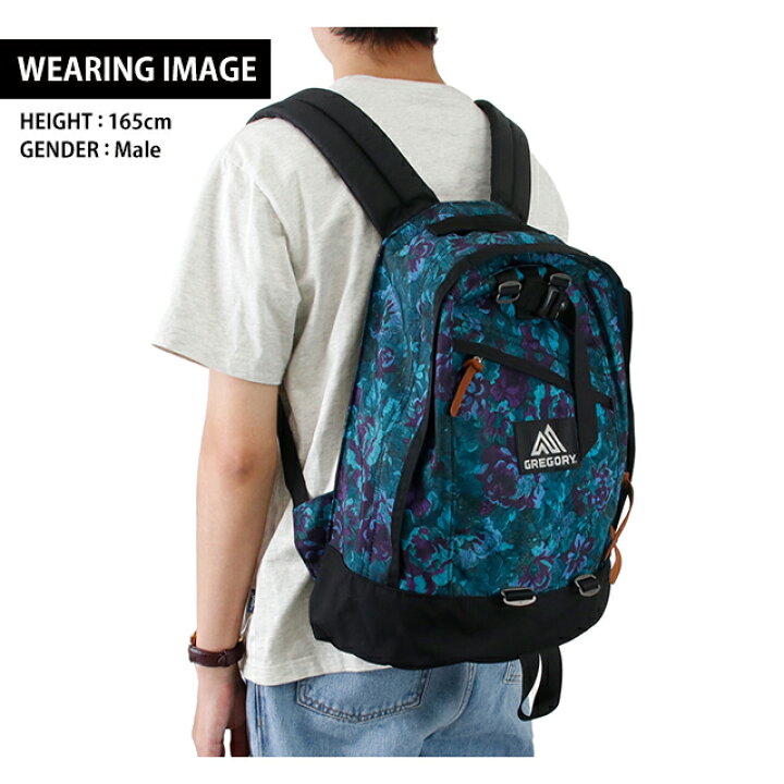 楽天市場】GREGORY グレゴリー リュック 18L メンズ レディース 