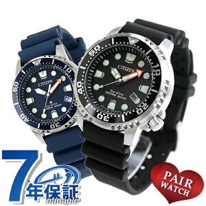 yAEHb` V`Y v}X^[ _Co[YEHb` \[[ GREhCu vw Jbv LO Y fB[X rv CITIZEN PROMASTER BN0156-05E EO2021-05L uh  h v