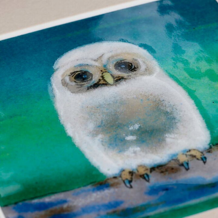 楽天市場】つぶらな瞳のふくろう（緑） 七宝 鳥 絵画 絵 額 アート 