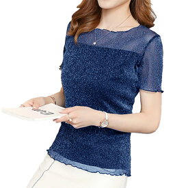 レディース トップス 半袖 レーストップス シースルー カットソー ブラウス インナー 夏 可愛い おしゃれ 大人 上品 きれい レース 春 秋 冬 オフィスカジュアル 通勤 事務服 30代 40代 50代 60代 ミセス セクシー シンプル 黒 大きいサイズ
