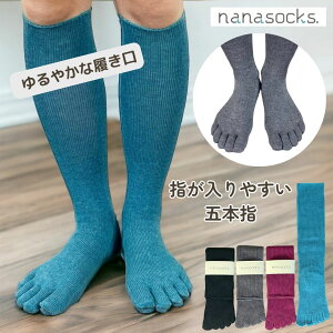 5{w nC\bNX { C fB[X Y sN O[ O[  ܖ{w ߕtȂ  YȂ _炩 ɂȂ ނ