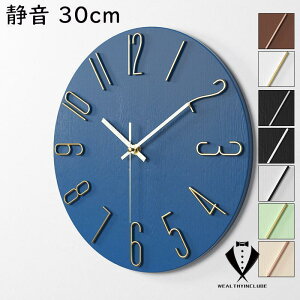 Ǌ|v  NbN fUC V 30cm Vv É  Ȃ CeA Mtg dr