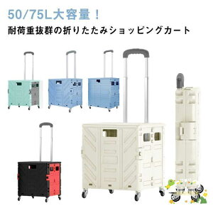 VbsOJ[g ܂肽 4  y ÉLX^[  RpNg e 50L 75L v 360°] J[g