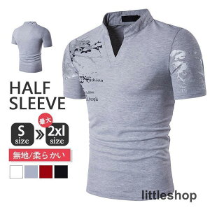 |Vc StEFA  Y StVc Vc 304050 t ĕ