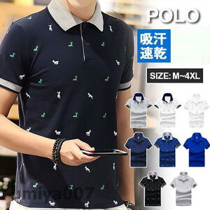 |Vc St Y StEFA am } S POLO rWlX X|[c ʋ JWA  傫TCY tR[f