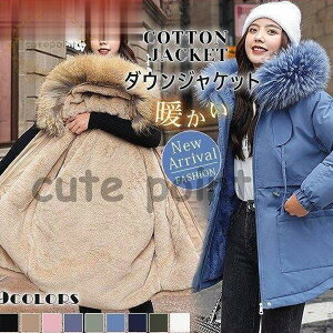 _EWPbg  _ER[g ~ O EGXgi G fB[X g t[ht ꂢ OR[g y AC