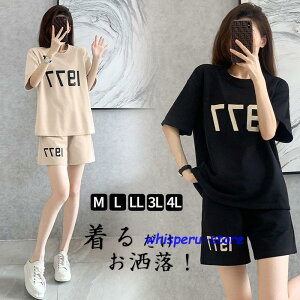 W[W fB[X ZbgAbv XEFbg ㉺Zbg  [EFA  n[tpc g[jO X|[cEFA JWA 