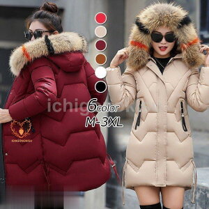 R[g _ER[g fB[X  R[g _EWPbg H~ 40 t@[t  _ER[g ~fBA g 傫TCY AE^[ 6F