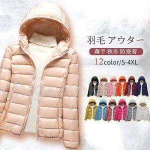 _EWPbg fB[X y Cg_E Ci[WPbg H AE^[ ^  Vv H~ g h