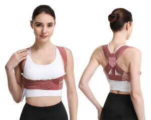 Lwxg pxg pT|[^[  Lw  Lwxg j  Y xg 傫TCY jp p p pxg w w؃xg Lw w؋