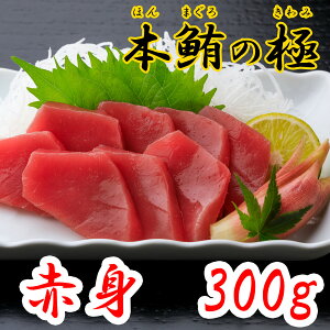 {̋ Ԑg 300g m y 匎 Ⓚ {B {}O }O Mtg v[g ϔ p  Ε ̓ ̓ Ԃ ܂ hg i