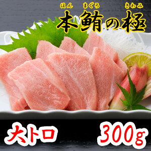 {̋ g 300g m y 匎 Ⓚ {B {}O }O Mtg v[g ϔ p  Ε ̓ ̓ Ԃ ܂ hg i