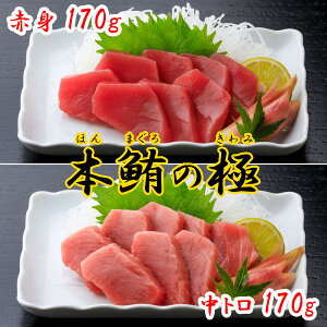 {̋ɁiԐg g e170gZbgjm y 匎 Ⓚ {B {}O }O Mtg v[g ϔ p  Ε ̓ ̓ Ԃ ܂ hg i e