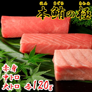 {̋ɁiԐg g g e120gZbgjm y 匎 Ⓚ {B {}O }O Mtg v[g ϔ p  Ε ̓ ̓ Ԃ ܂ hg i
