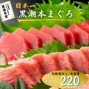 yϔȂzŗDG܎ {܂ ԐgEg e220g Zbg  m y 匎 Ⓚ {B {  }O  hg i Mtg v[g ϔ p  䒆 
