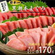 【化粧箱なし割引】最優秀賞受賞 黒潮本まぐろ 赤身・中トロ・大トロ 各170g セット 高知 土佐 大月町 冷…
