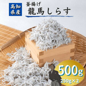 n炷 250g×2pbN 500g g炷 m y Y mY Ⓚ Mtg v[g ϔ p  Ε ̓ ̓ hV̓ q Ԃ  V 炷 