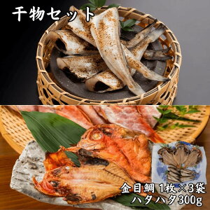 Zbg n^n^̈銱 ڑ̊  m y Ⓚ CN Mtg ϔ  䒆 Ε Ε ̓ ̓ hV̓
