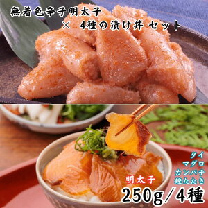 Fhqq ؂q 250g ̒Ђ4    CH[ Mtg ϔ  䒆 Ε Ε ̓ ̓ hV̓