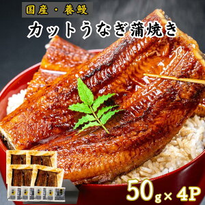 JbgȂiĂj50g×4P Y {V m y Ⓚ {B ^ERt Mtg v[g ϔ p  䒆 Ε ̓ ̓ hV̓ yp N̓ Ș ȏd 