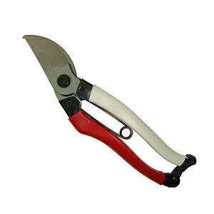 yPz y210mm NO.104Bz