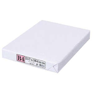 yAPPJzRs[p J[Rs[pyB4 500 sNz